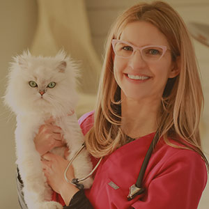 Veterinarians Boulder CO