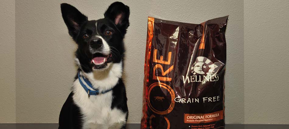 Dog and Cat Nutrition | Prescription Pet Food | Boulder's Natural Animal  Hospital